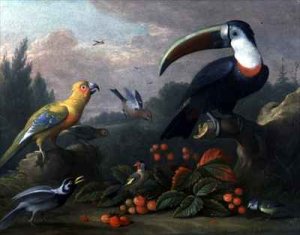 Toucan with Other Birds