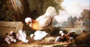 Poultry and Pigeons in a Landscape